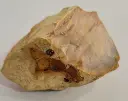 20250203_120337.webp